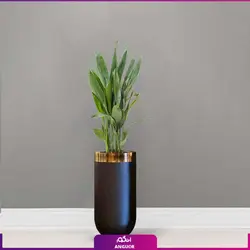 گلدان هدیه لوکس برگ عبایی فایبر گلاس(120-140سانتی متری)