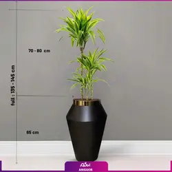 گلدان هدیه لوکس دراسنا برگ لیمویی سه شاخه