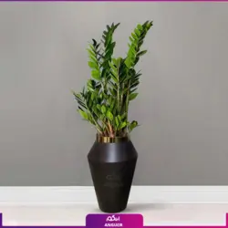 گلدان هدیه VIP فایبر گلاس با زاموفیلیا سبز + زیر گلدانی چرخ دار (140 تا 160 سانتی)