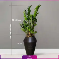 گلدان هدیه VIP فایبر گلاس با زاموفیلیا سبز + زیر گلدانی چرخ دار (140 تا 160 سانتی)