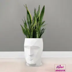 خرید اینترنتی گلدان هدیه لوکس فایبر گلاس رنگ سفید طرح چهره با سانسوریا (150- 170 سانتی)