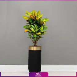 خرید گلدان هدیه لوکس فایبر گلاس رنگ مشکی لبه طلایی با کروتون گورخری