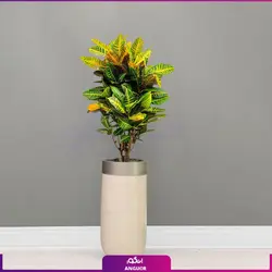 خرید گلدان هدیه لوکس فایبر گلاس رنگ مشکی لبه طلایی با کروتون گورخری