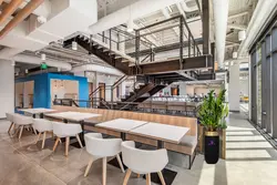 گلدان هدیه VIP فایبر گلاس با زاموفیلیا سبز + زیر گلدانی چرخ دار (150 تا 165 سانتی)