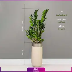 گلدان هدیه VIP فایبر گلاس با زاموفیلیا سبز + زیر گلدانی چرخ دار (150 تا 165 سانتی)