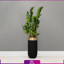 گلدان هدیه VIP فایبر گلاس با زاموفیلیا سبز + زیر گلدانی چرخ دار (150 تا 165 سانتی)