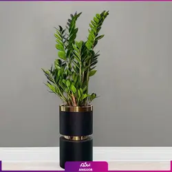 گلدان هدیه VIP فایبر گلاس کمری با زاموفیلیا + زیر گلدانی چرخ دار (130 تا 160 سانتی)