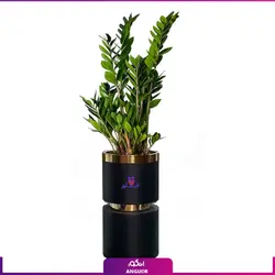 گلدان هدیه VIP فایبر گلاس کمری با زاموفیلیا + زیر گلدانی چرخ دار (130 تا 160 سانتی)