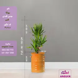 گلدان خالی فلزی فانتزی لاین در 6 رنگ مختلف (ارتفاع 40) | انگور