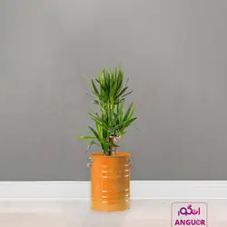 گلدان خالی فلزی فانتزی لاین در 6 رنگ مختلف (ارتفاع 40) | انگور