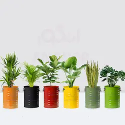 گلدان خالی فلزی فانتزی لاین در 6 رنگ مختلف (ارتفاع 40) | انگور