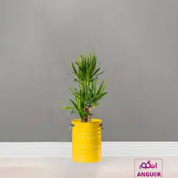 گلدان خالی فلزی فانتزی لاین در 6 رنگ مختلف (ارتفاع 40) | انگور