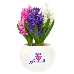 خرید آنلاین گلدان سنبل طبیعی نوروزی در سه رنگ | گلفروشی انگور
