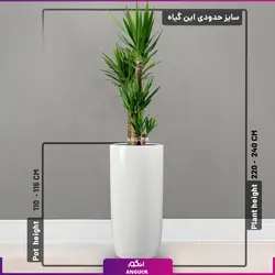 گلدان سفارشی بلند فایبرگلاس همراه با گیاه آپارتمانی یوکا 4 شاخه (220- 240 سانتی)