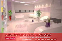 گیاه آپارتمانی بابا آدم کوچک همراه با عکس + قیمت | Alocasia | انگور مرکز گل و گیاه در ایران