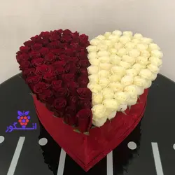 باکس گل رز قرمز و سفید هلندی برای مناسبت های تقویمی و عاشقانه | گل فروشی آنلاین انگور