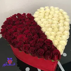 باکس گل رز قرمز و سفید هلندی برای مناسبت های تقویمی و عاشقانه | گل فروشی آنلاین انگور