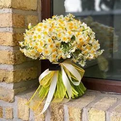 خرید اینترنتی دسته گل نرگس بزرگ 200 شاخه | انگور مرکز گل و گیاه ایران