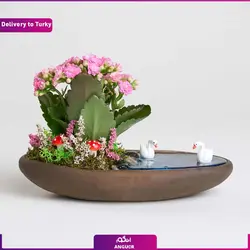 بونسای تراریوم (ارسال گل به ترکیه) | انگور