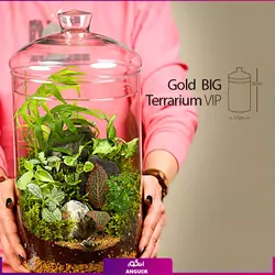 خرید آنلاین تراریوم مدل گلد بزرگ vip