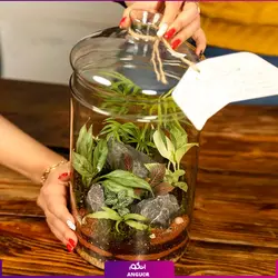 خرید آنلاین تراریوم مدل گلد بزرگ vip