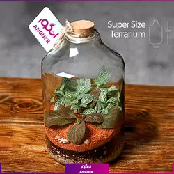 خرید آنلاین تراریوم آمازون سوپر سایز | سایت گلفروشی آنلاین