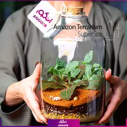 خرید آنلاین تراریوم آمازون سوپر سایز | سایت گلفروشی آنلاین