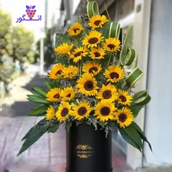خرید اینترنتی باکس گل آفتابگردان، سفارش آنلاین گل | گل فروشی آنلاین انگور