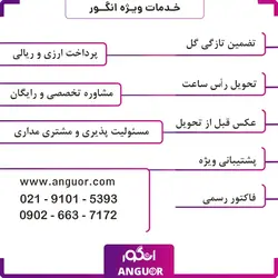 خرید اینترنتی دسته گل عیادت از بیمار روکال از گل فروشی آنلاین انگور