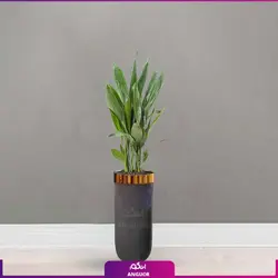 برگ عبایی با گلدان فایبر گلاس(120-140 سانتی متری)