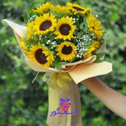 خرید آنلاین دسته گل آفتابگردان برشید، دسته گل زیبا و شیک همراه با قیمت و مشخصات