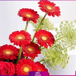 سفارش اینترنتی باکس گل روبیتا به همراه کیک از گل فروشی آنلاین انگور