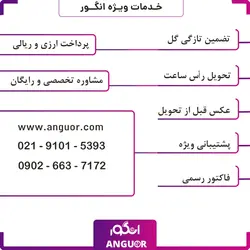 گل گلدانی ارکیده نارنجی