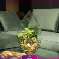 خرید آنلاین تراریوم دایموند vip | گلفروشی آنلاین انگور