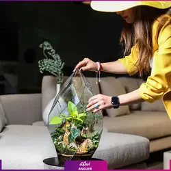 خرید آنلاین تراریوم دایموند vip | گلفروشی آنلاین انگور