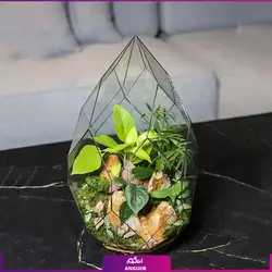 خرید آنلاین تراریوم دایموند vip | گلفروشی آنلاین انگور