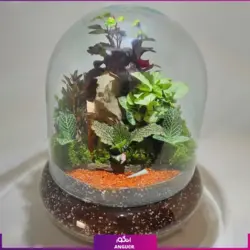 تراریوم باغ دیواری | انگور