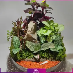 تراریوم باغ دیواری | انگور