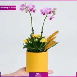دسته گل رز قرمز 15 شاخه با گلدان (ارسال گل به ترکیه) | انگور