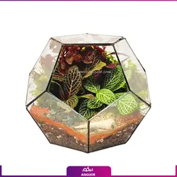 خرید آنلاین تراریوم مدل هِگزا با استند نور | گلفروشی آنلاین انگور