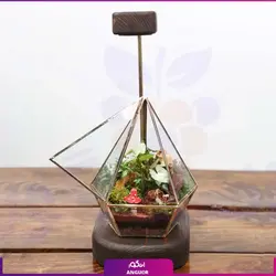 خرید آنلاین تراریوم مدل هِگزا با استند نور | گلفروشی آنلاین انگور
