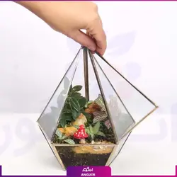 خرید آنلاین تراریوم مدل هِگزا با استند نور | گلفروشی آنلاین انگور