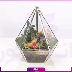 خرید آنلاین تراریوم مدل هِگزا با استند نور | گلفروشی آنلاین انگور