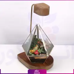 خرید آنلاین تراریوم مدل هِگزا با استند نور | گلفروشی آنلاین انگور