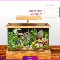 خرید آنلاین تراریوم VIP سوپربتا | گلفروشی آنلاین انگور