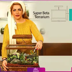 خرید آنلاین تراریوم VIP سوپربتا | گلفروشی آنلاین انگور