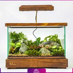 خرید آنلاین تراریوم VIP سوپربتا | گلفروشی آنلاین انگور