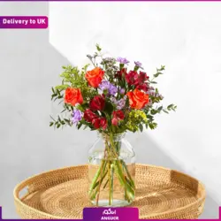 رز مینیاتوری قرمز کریسمس  (ارسال گل به انگلستان)