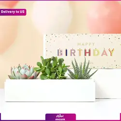 گیاه گلدانی Calming Peace Lily Plant (ارسال گل به امریکا) | انگور