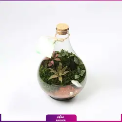 خرید آنلاین تراریوم مدل پوپک vip | گلفروشی آنلاین انگور